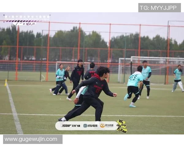 赛后分析：北京飞盘队与杭州飞盘队的实力对决与战术解析