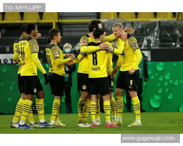 2015年弗赖堡对阵多特蒙德亚盘分析与赛事回顾 2015年弗赖堡对阵多特蒙德亚盘分析与赛事回顾